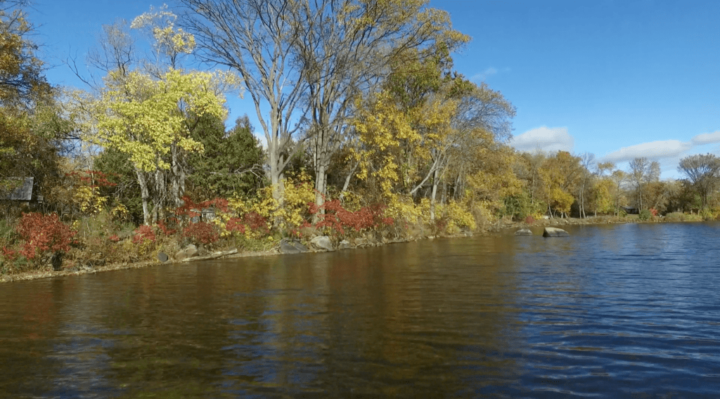 Calabogie Waterfront For Sale