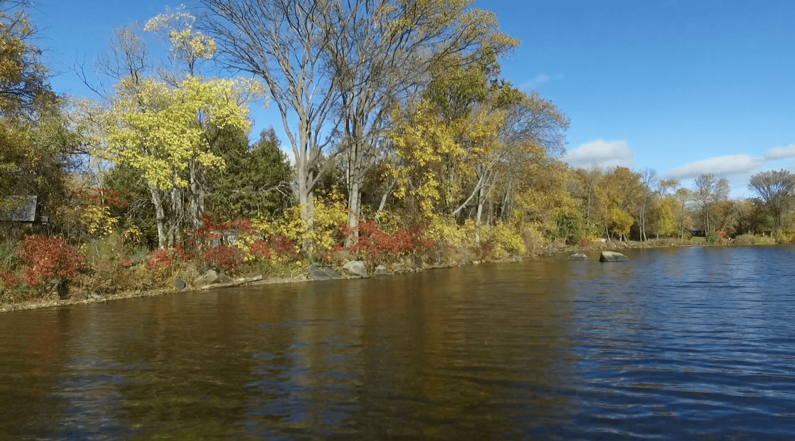Calabogie Waterfront For Sale